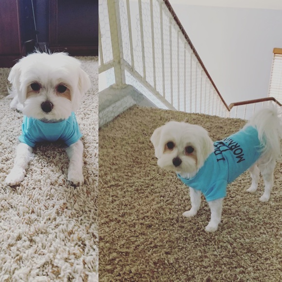 Meet your Posher, Carly ritz - Picture 5 of 7